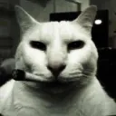 5501.