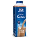 kakao21