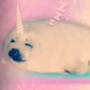 avatar Apollo ✗ˑ𝘰