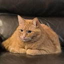 avatar MaoMao (DO NOT DM)