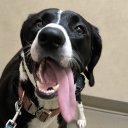 avatar MaoMao (DO NOT DM)