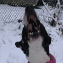 avatar MaoMao (DO NOT DM)