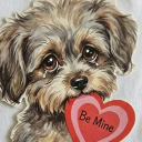 avatar MaoMao (DO NOT DM)