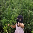 avatar Kocanka_🇵🇱