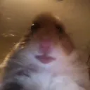 ikseikkei