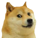 tahran_chilling avatar