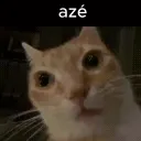 fufu.12