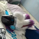 floofie_proto