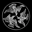 neotheta