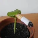 kindlytoweringkoffee
