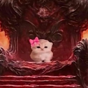 avatar 𝕽𝖆𝖎𝖘𝖎 > ᵕ <