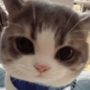 avatar syz