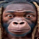 avatar ImPoor