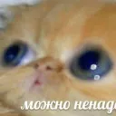 Аватар arsikrazpizdon