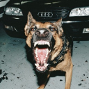 avatar Cerbxrus三头狗