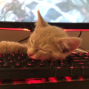 avatar .          Stitch             .