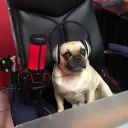 lordmastermatrix