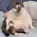yiiiiiiiiiiiiy