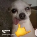 chetdentist