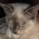 ghosterrr