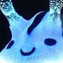 chankui
