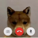 avatar the dog is calling