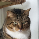 ࿐ 𝘈𝘪𝘳 ༄ 79 #Extra-Peachy