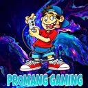 promanggaming4220