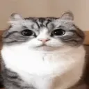 danya109646