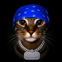 noah._h