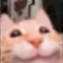 Аватар gordik1