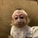 nagiibro