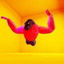 koboldkid