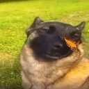 Аватар retrowave6362