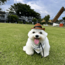 avatar ! 𝙧𝙫𝙠𝙯𝙣//𝙨𝙝𝙞𝙣𝙮