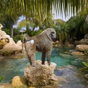 Baboon In Lagoon's profile picture