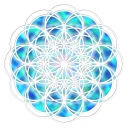 cryptology9816