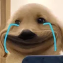 ccitrong