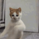 avatar Stranger_Sparky