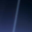 vega's profile picture