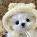 avatar ⃟⃟⃟⃟⃟