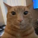 peipi0000