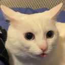avatar bumblebean