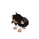 rat_k1ng.