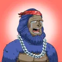 noidbicc