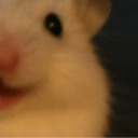 avatar SourishCandle