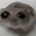 Аватар pashalkinebudet