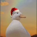 avatar Pato🦆
