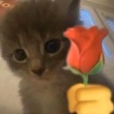 avatar Superstar1158