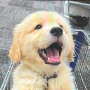 avatar ♬𒉭XSNRG▫🔥